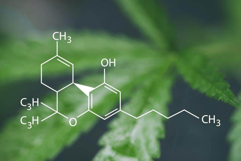 THC & CBD Clinical Research Study 